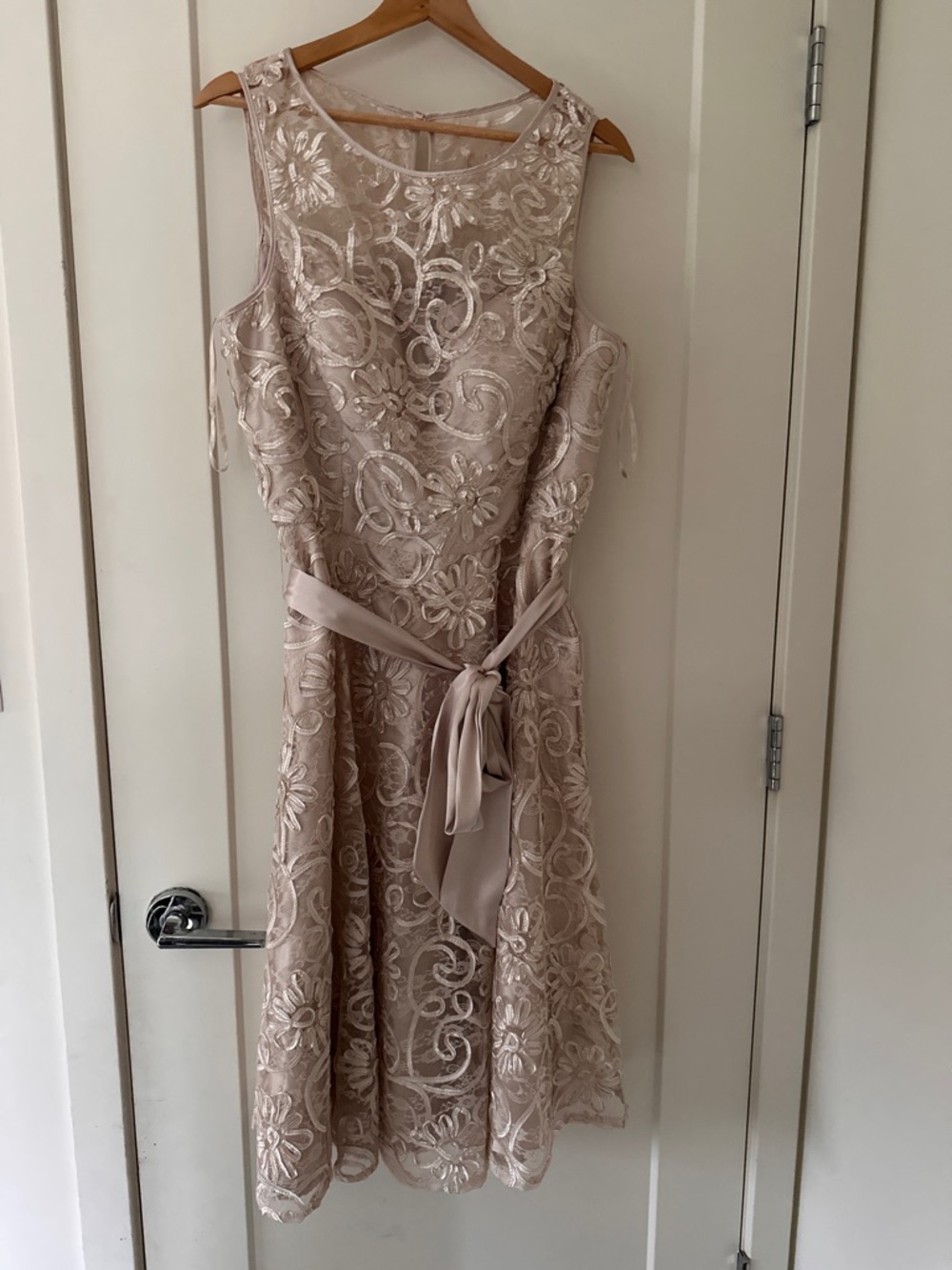 Jessica Howard Blush Lace Fit & Flare Dress - Picture 4 of 6